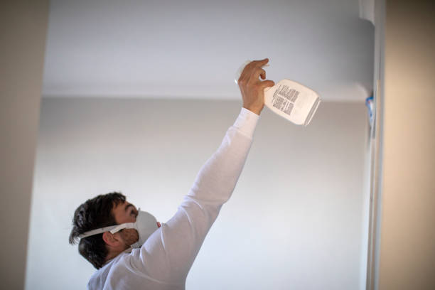Best Insurance-Related Mold Remediation in Brownsboro, TX