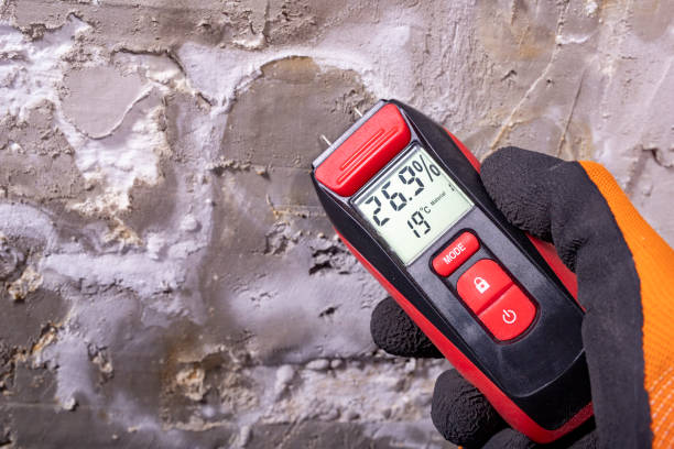 Professional Mold Remediation in Brownsboro, TX