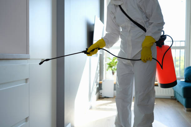 Best Mold Testing and Inspection Services in Brownsboro, TX