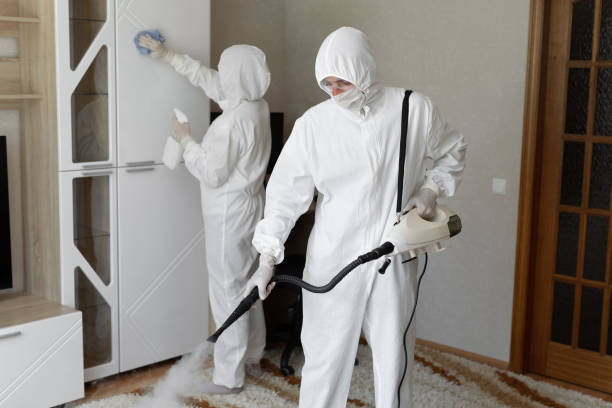 Professional Mold Remediation in Brownsboro, TX
