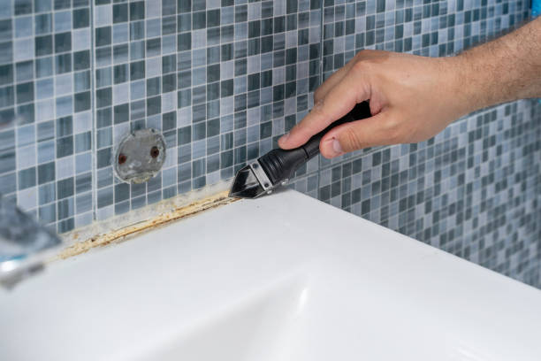 Best Mold Remediation for Specific Building Types in Brownsboro, TX